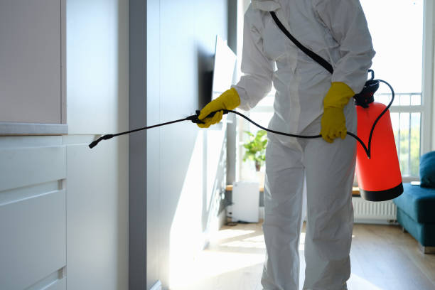 Best Professional Mold Removal  in Blue Mound, TX