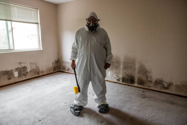 Best Mold Cleaning Services  in Blue Mound, TX